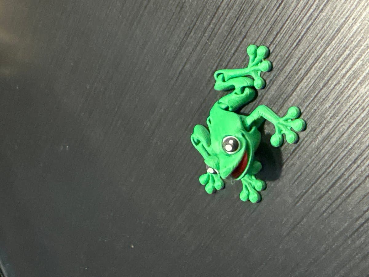 Frog